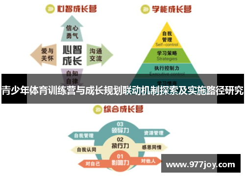 青少年体育训练营与成长规划联动机制探索及实施路径研究