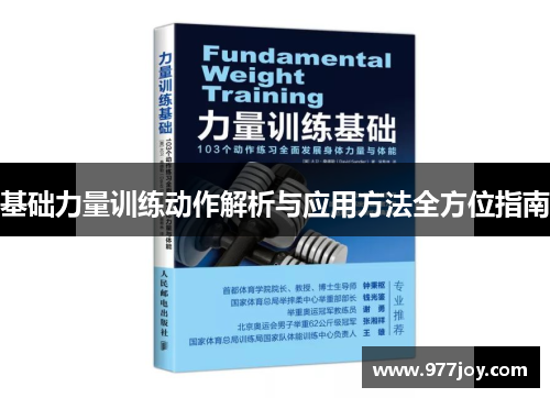 基础力量训练动作解析与应用方法全方位指南