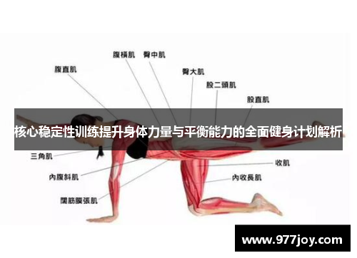 核心稳定性训练提升身体力量与平衡能力的全面健身计划解析